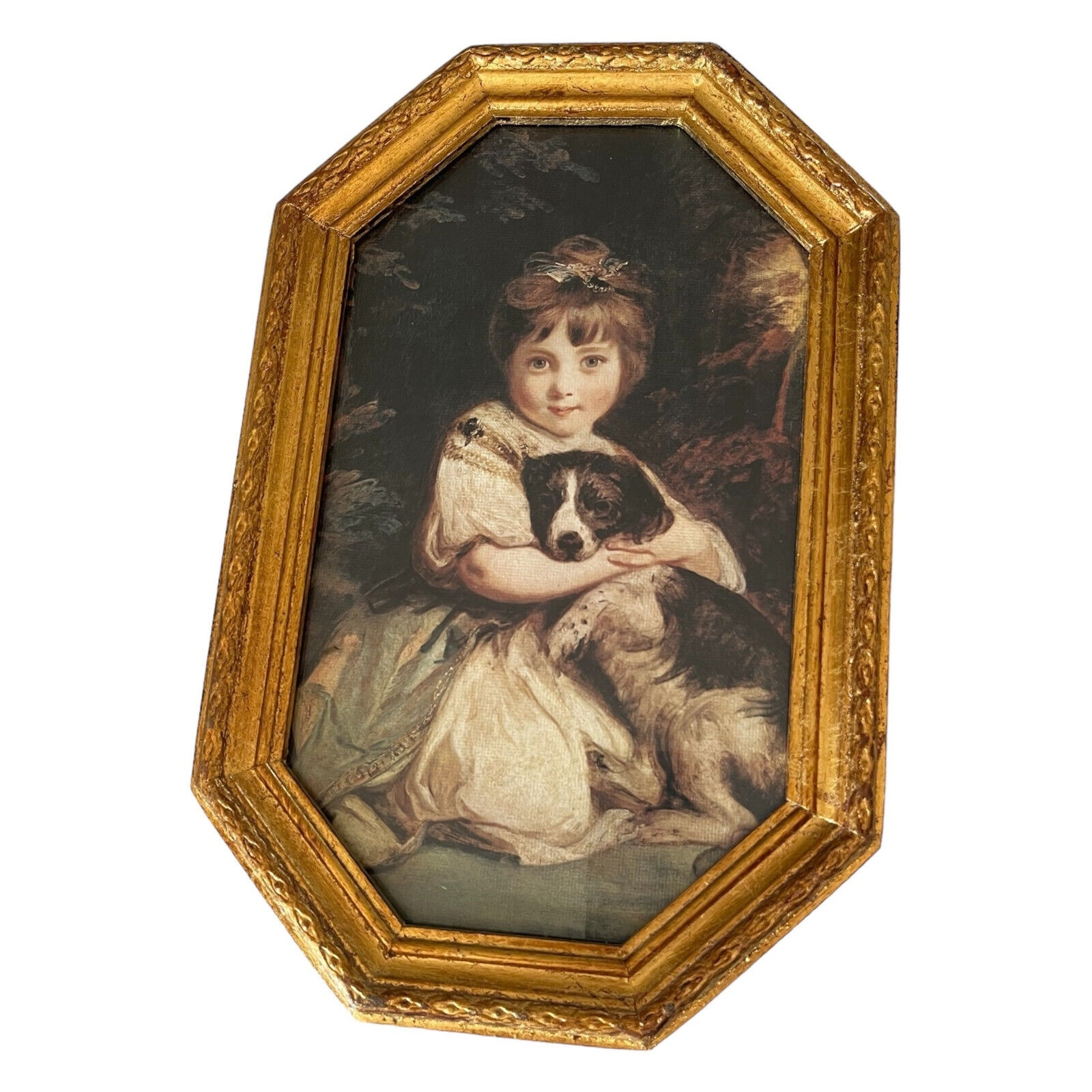 Framed print, Miss Bowles and her dog by, Sir Joshua Reynolds Made in Italy