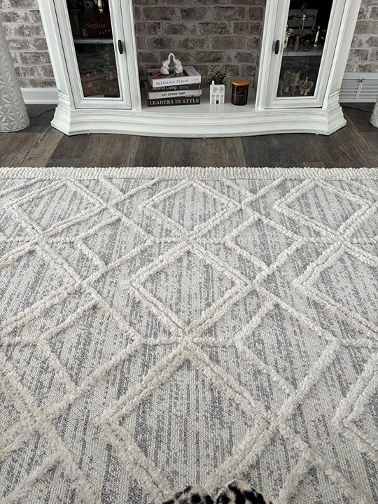 3x5 Ansley Moroccan Tassel Area Rug, Light Grey, Bohemian Design