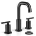 Matte Black Widespread 2-Handle Bathroom Sink Faucet with Drain and De