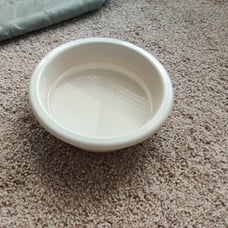 Food bowl