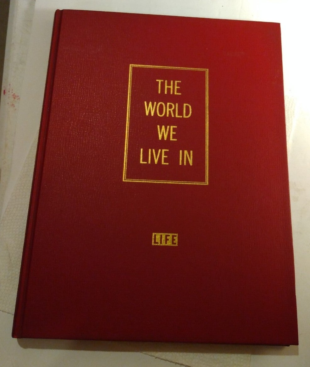 The World We Live In
