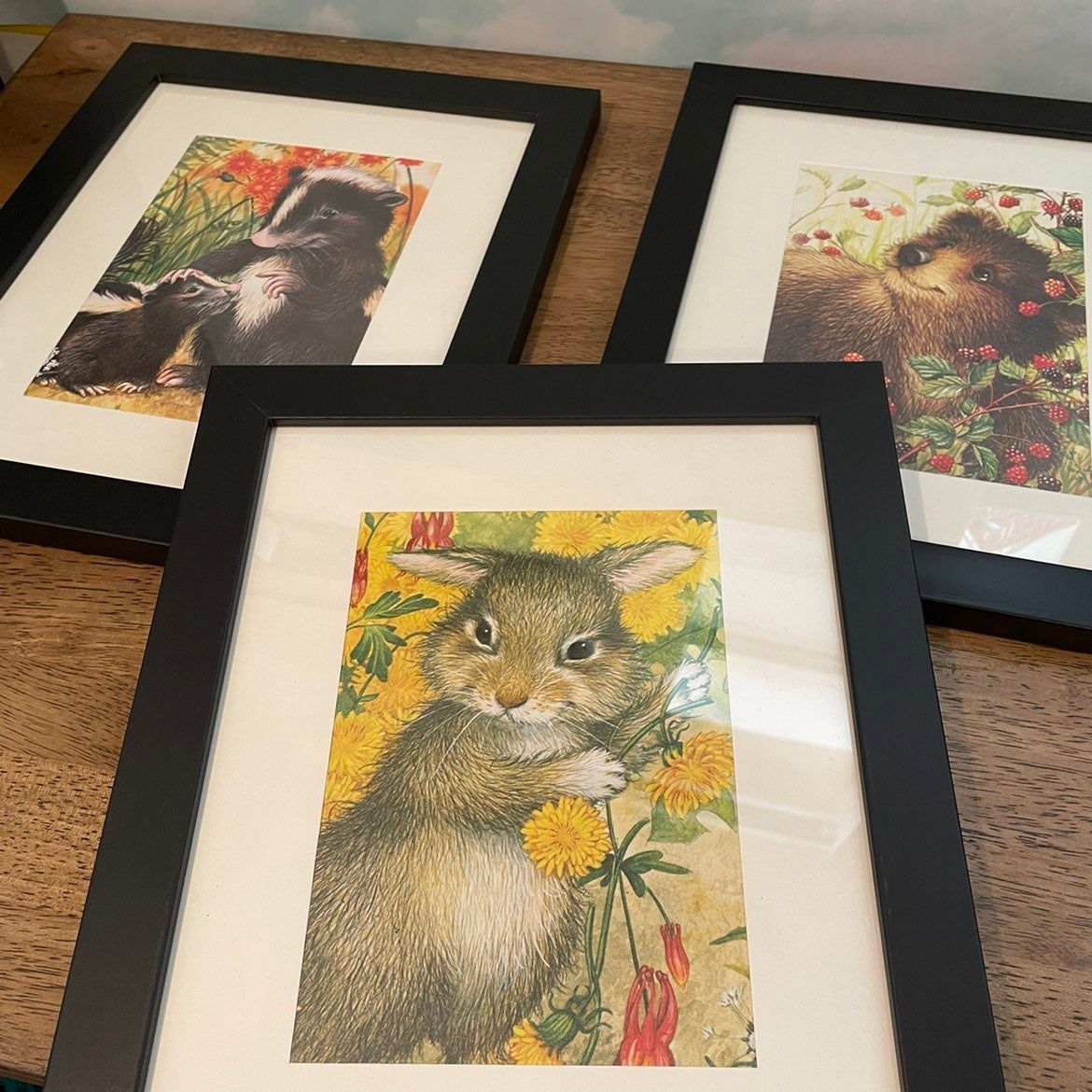 Woodland Creatures Baby Animals Framed Picture Set of 3 Bunny Bear Skunk Baby