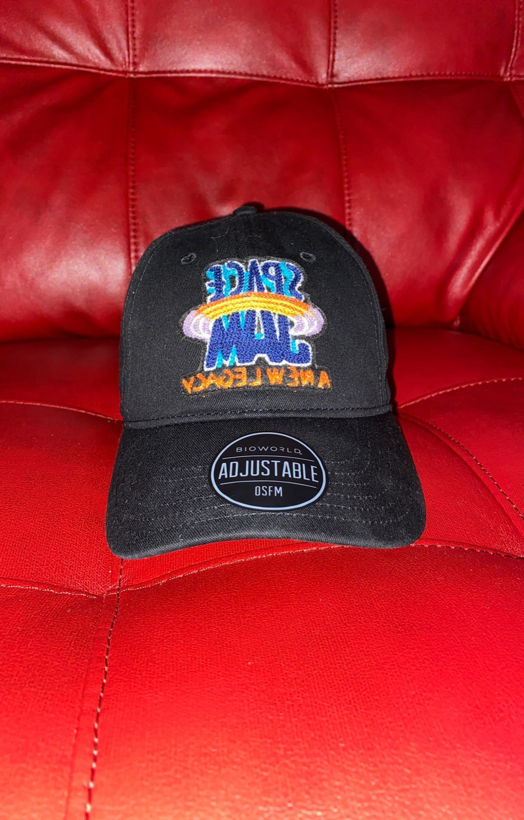 Space jam new legacy hat
