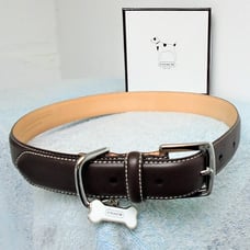 NEW COACH BROWN SMOOTH LEATHER BONE CHARM DOG PET COLLAR SIZE EXTRA LARGE 8420