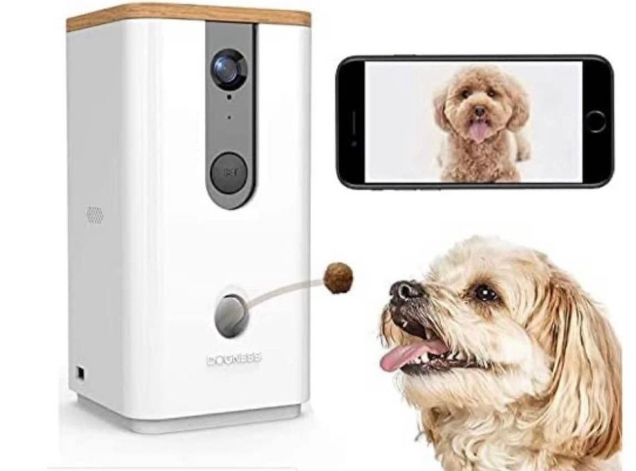 Wi-Fi Pet Camera with Treat Dispenser