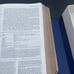 LIFE APPLICATION STUDY BIBLE NRSV LEATHER