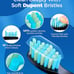Electric Toothbrush for Adults with 8 Brush Heads Rechargeable - Black