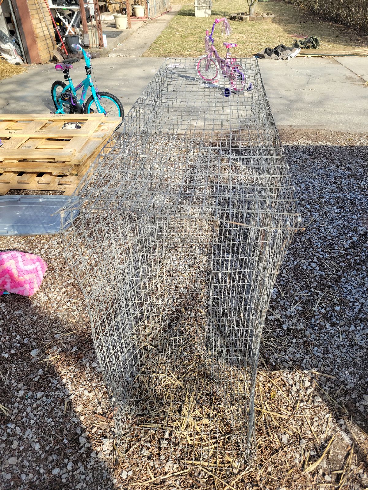 Bird training bird cage hunting