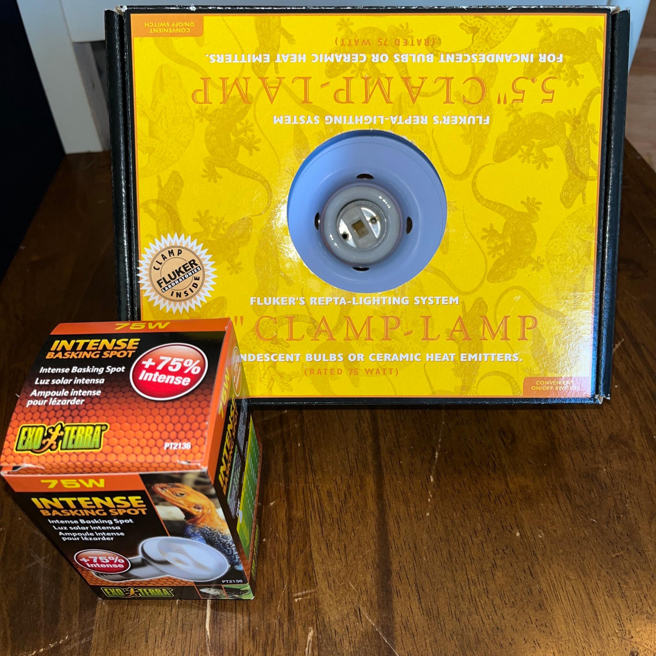 Flukers Clamp Lamp with Switch And Free Bulb