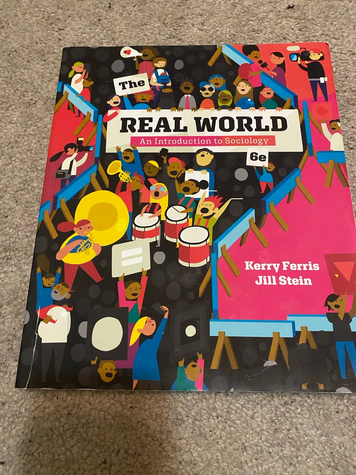 The real world an introduction to sociology 6e