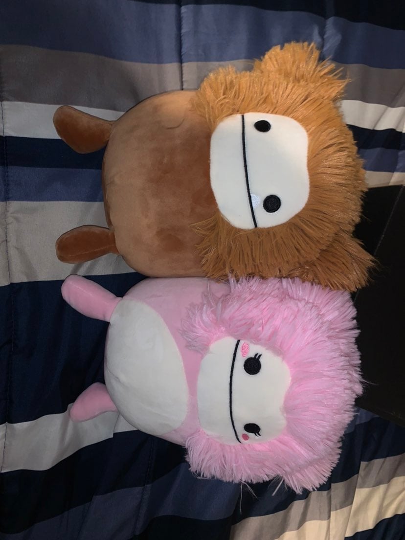 (RARE) Benny & Brina Squishmallows