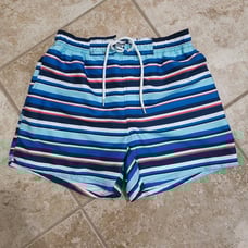 2xist Medium Blue 5 Inseam Preppy Lined Drawstring Striped Classic Swim Trunks