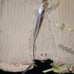American Girl Doll Bitty Baby Ribbon Trim Knit Outfit Sweater Overalls Ivory Set