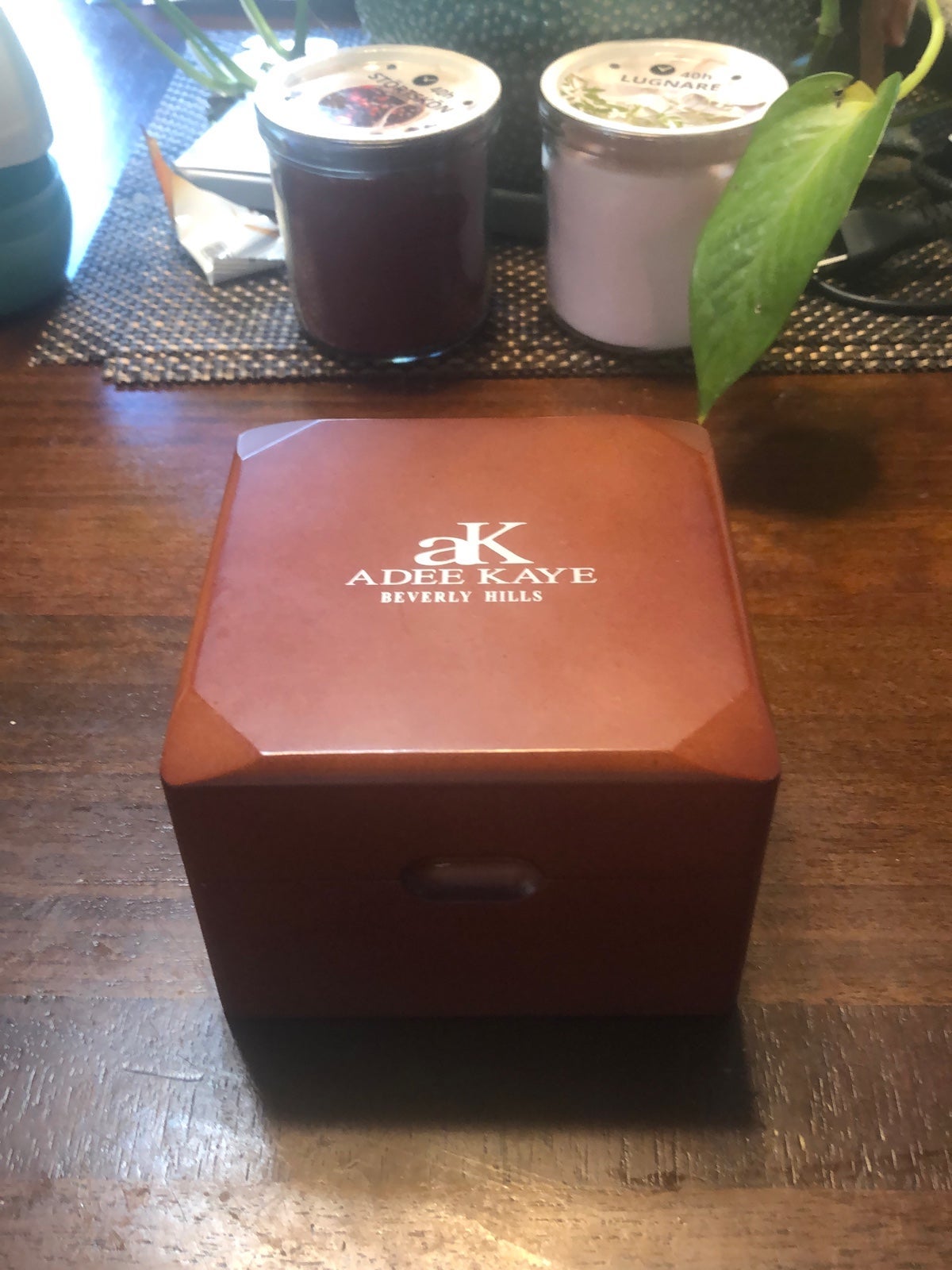 Adee Kaye Mens Watch Model AK7211-M