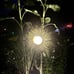 Sun Solar Lights Garden Outdoor Waterproof Metal Stakes for Patio
