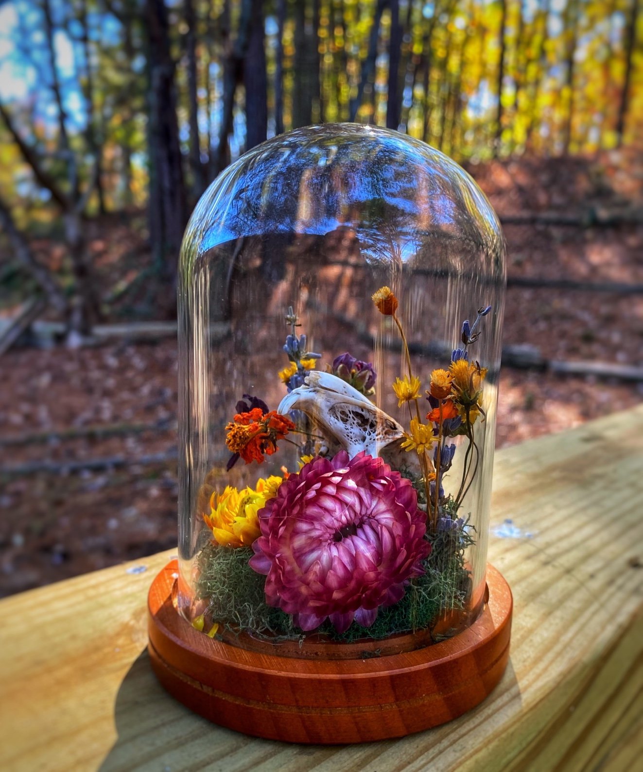 PARTIAL RABBIT SKULL IN GLASS DOME WITH MOSS & DRIED FLOWERS