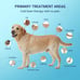 Cold laser therapy device for dogs and cats