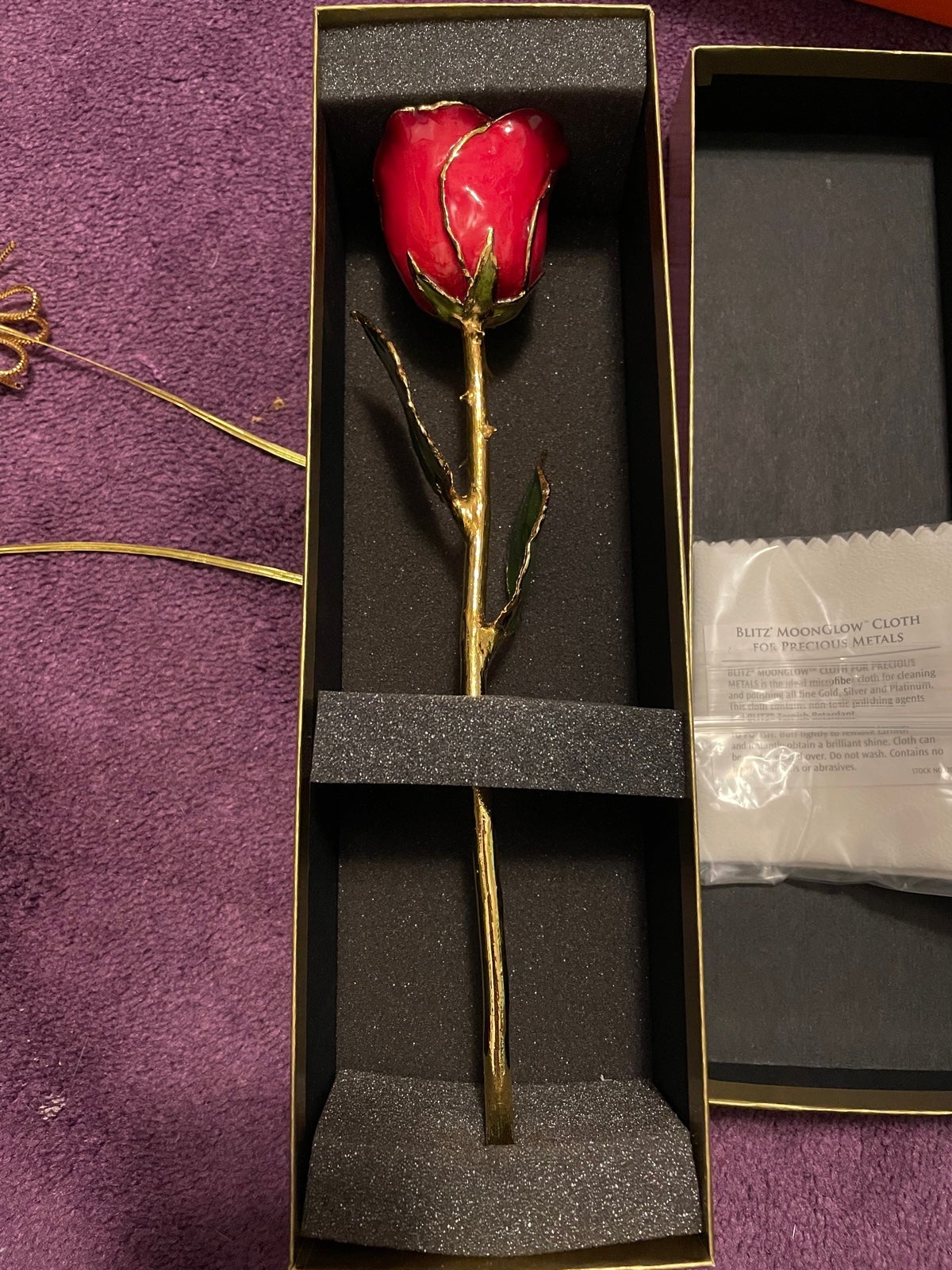 “The Forever Rose”
