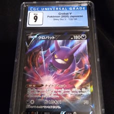 graded Pokemon cards. Mint, hollo