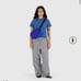 NWT Baggu lapis Fanny pack