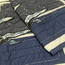 Pottery Barn Kids Star Wars Bundle Pillow Shams Standard Sz (2) Euro Sham (1)