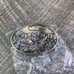 NIB Vintage NRA Golden Eagles Belt Buckle