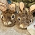 Beatrix Potter’s Peter Rabbit Nursery Pottery Barn