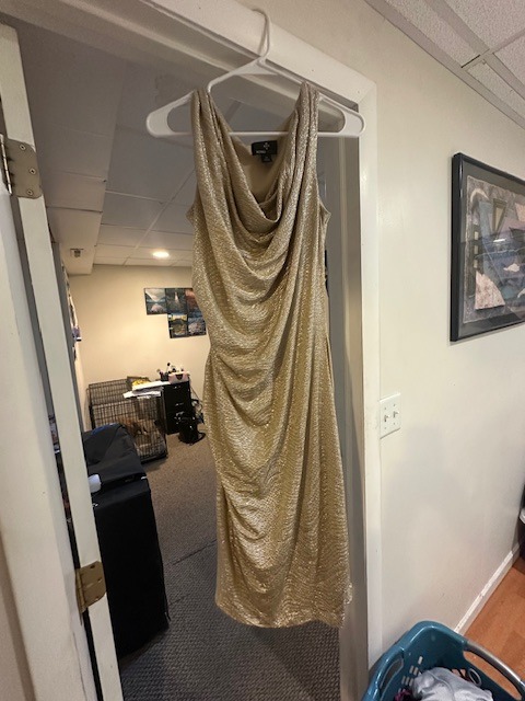 *Women's Ronni Nicole Stretch Sleeveless Ruched Sheath Dress (Size 14) - 214