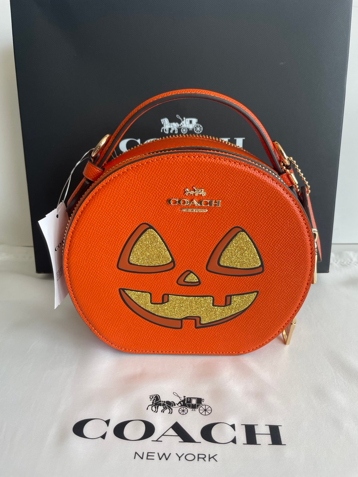 Coach Coach Canteen Crossbody Bag With Halloween Pumpkin Print