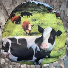 Mama koala farm cow