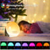 Sunrise Wake Up Light Dual Alarm Clock