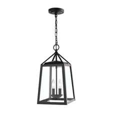 Blakeley Transitional 2-Light Black Outdoor Pendant Light Fixture (L909)