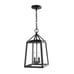 Blakeley Transitional 2-Light Black Outdoor Pendant Light Fixture (L909)