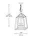 Blakeley Transitional 2-Light Black Outdoor Pendant Light Fixture (L909)