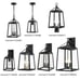 Blakeley Transitional 2-Light Black Outdoor Pendant Light Fixture (L909)