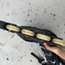 Rollerblades