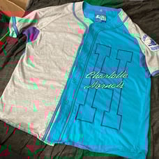 Vintage Charlotte hornets-NBA Starter Jersey