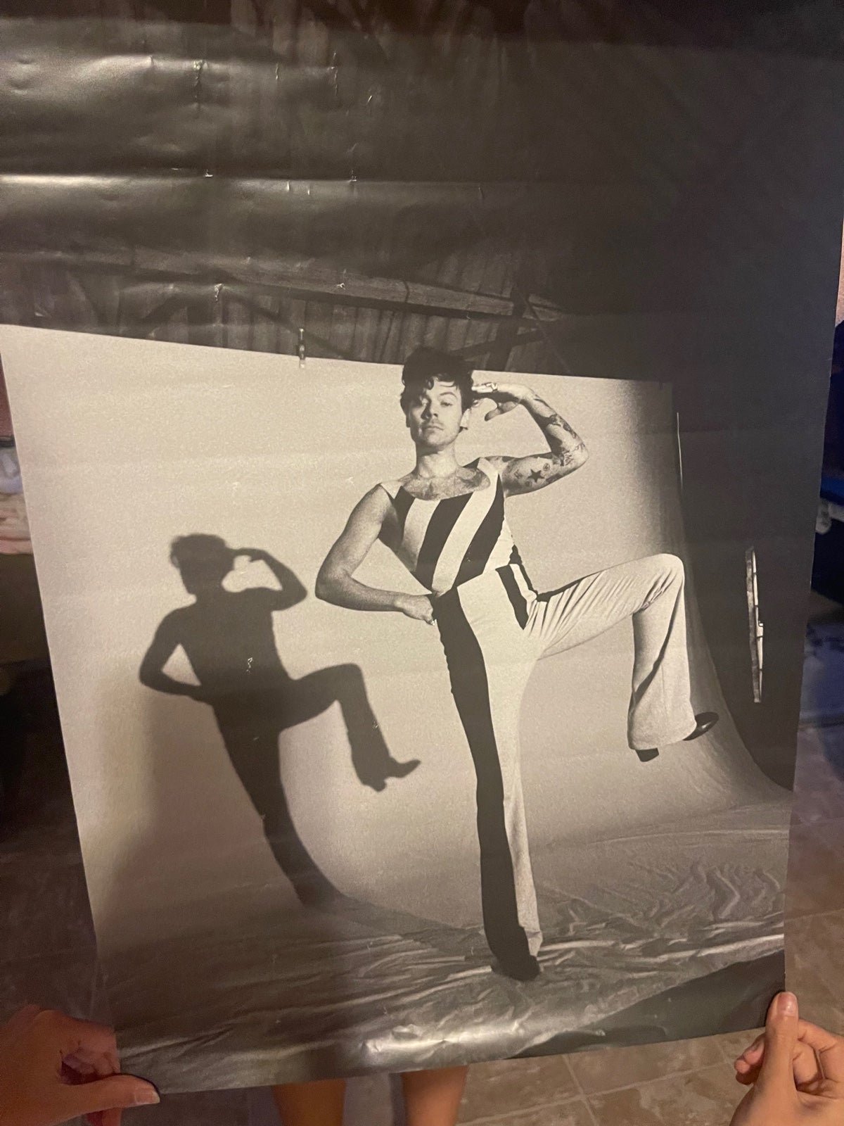 Harry styles poster