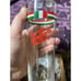 Lot of 3 - Vintage The Old Spaghetti Factory Drinking 7 Tall Thin Glasses