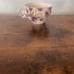 Victorias garden purple flowers tea set (RARE VINTAGE) 9 peice set