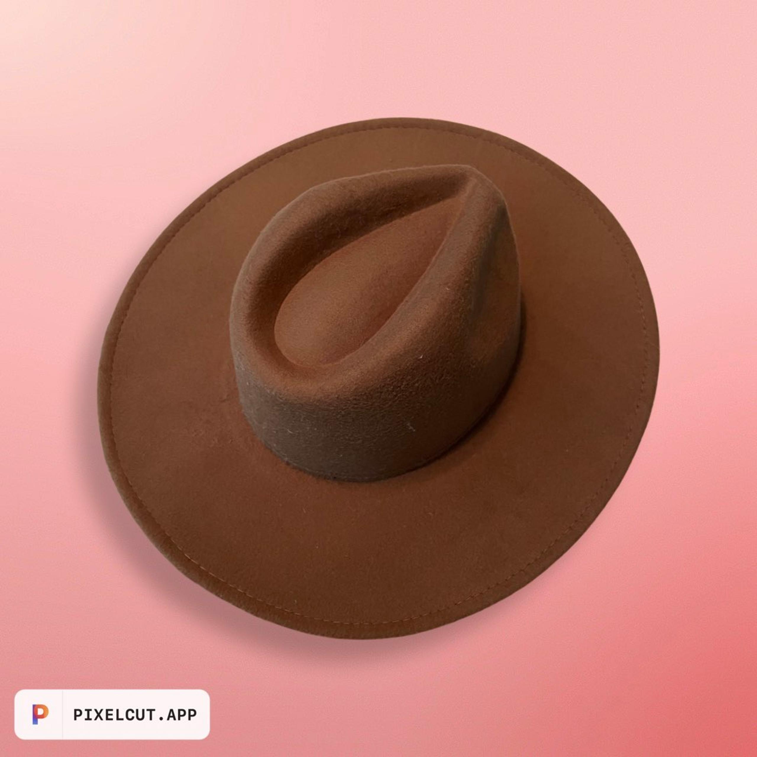 Felt Wide Brim Hat