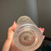 Starbucks Gold Crown Glass Mermaid Tumbler