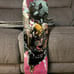ColorBars Blind Bag Rare Limited Hawkman Skate Deck 19 of 50