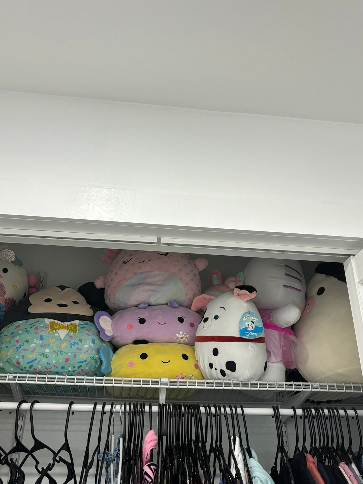 SQUISHMALLOWS