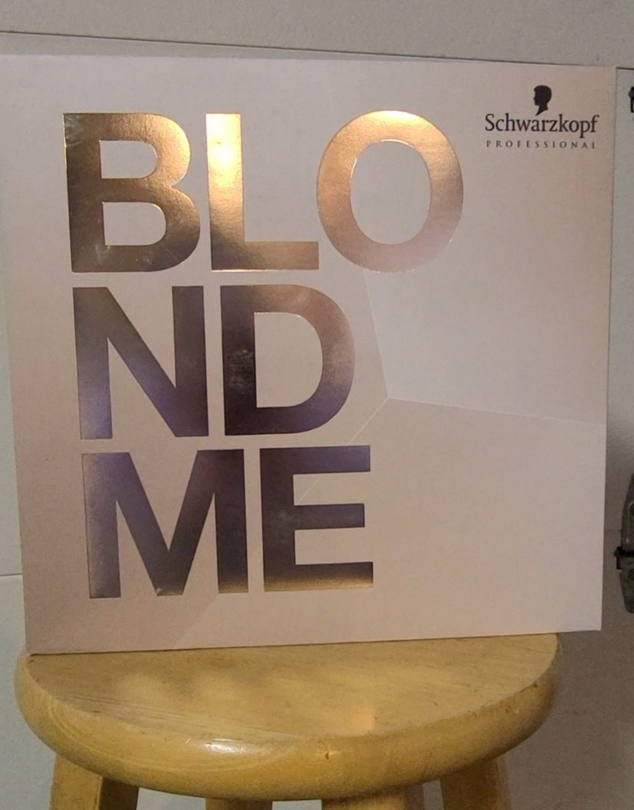 Schwarzkopf Professionals Blonde Me color swatch book