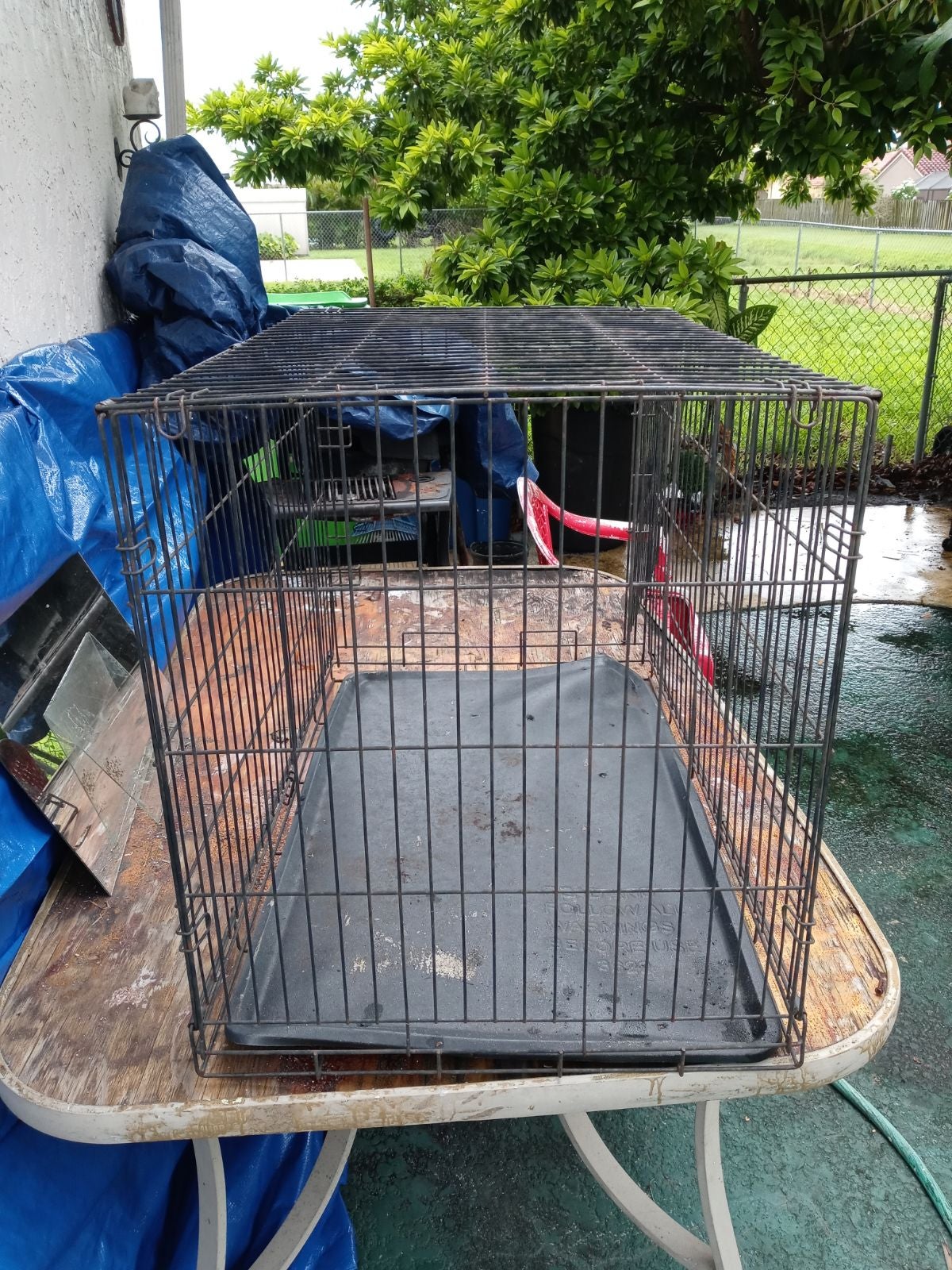 Used Dog Cages