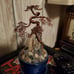 Wire bonsai tree