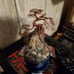 Wire bonsai tree