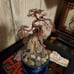 Wire bonsai tree