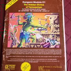 Dungeon module C1